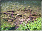 foto Lago di Terlago